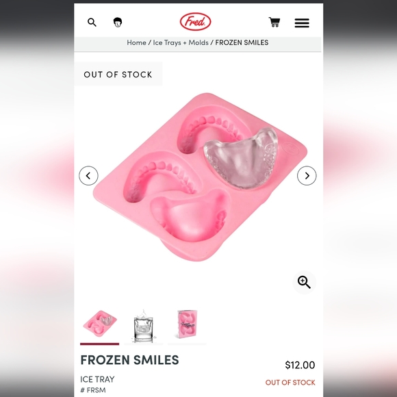 Denture ice tray molds - Picture 6 of 6